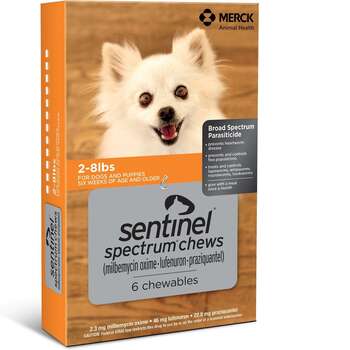 best heartworm prevention medication for dogs